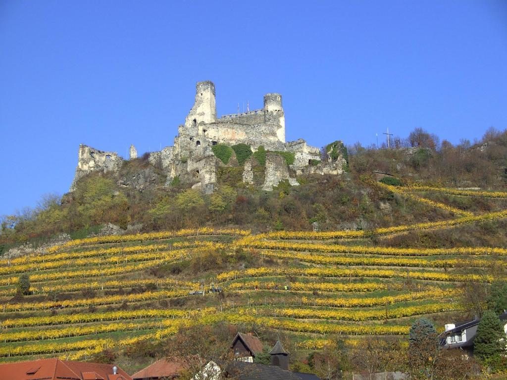 Fruehstueckspension Leopold Janu Senftenberg Esterno foto